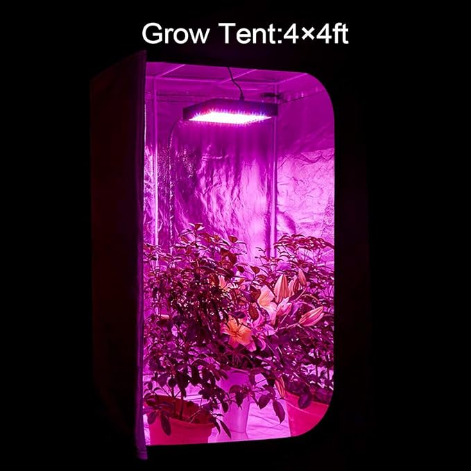 1000W LED Grow Light Full Spectrum Dual-Chip Growing Lamp for Hydroponic Indoor Plants Veg and Flower