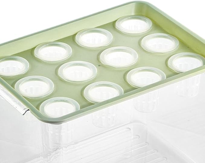 Microgreens Growing Kit Hydroponics Grower Kit Cultivation Box Hydroponic Growing System for Home Vegetables Cultivating Green Lid