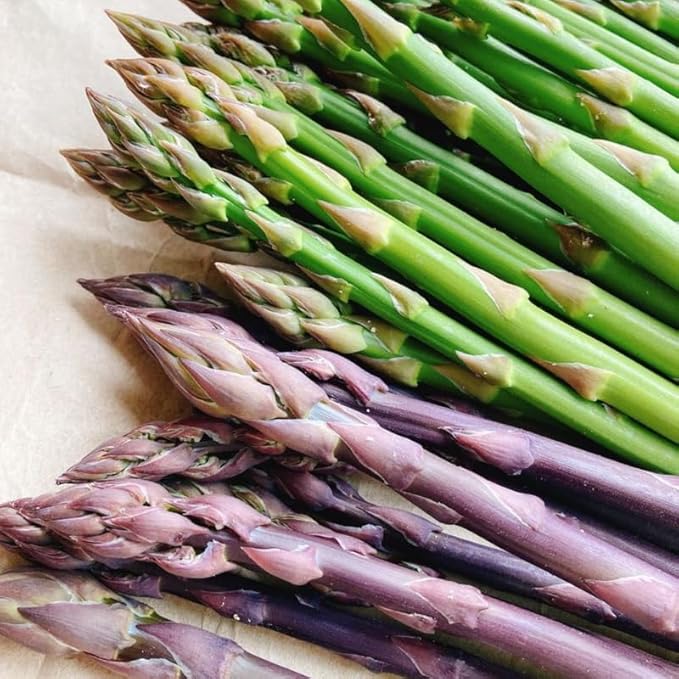 20 Mix Asparagus Roots - Bare Root Asparagus Crowns for Planting Perennial Vegetable Plants for Outdoor Garden