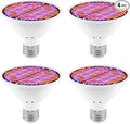 4Pack 30W LED Full Spectrum Plant Seedling Light 85-265V Hydroponic Vegetable Fruits Fill Lights UV/IR Greenhouse Growing Box Red Blue 110V Flowers Succulent Cactus Potted Moss Cultivate Lighting