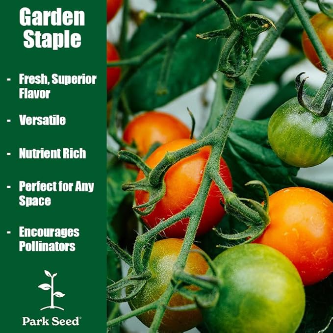 Park Seed Variety of Tomato Seeds Planting Vegetables Easy to Grow Non-GMO Perfect for Harvesting Marmande Marsalato Organic F1 Hybrid Pack of 5