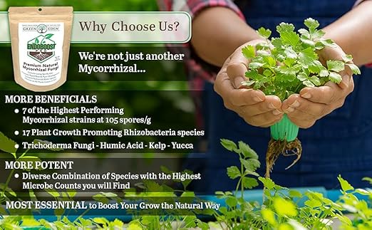 GreenEden EndoBoost Pro Mycorrhizal Fungi (7 Species) - Premium Endomycorrhizae Root Enhancer - 8oz. - Organic Microbial Inoculant - Living Soil Builders