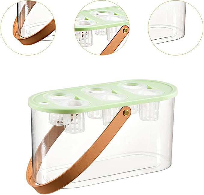 MYCENSE Hydroponics Grower Box Hydroponics Tool with 6 Holes Hydroponic System Growing Box Indoor Tabletop Mini Aquarium for Indoor Green