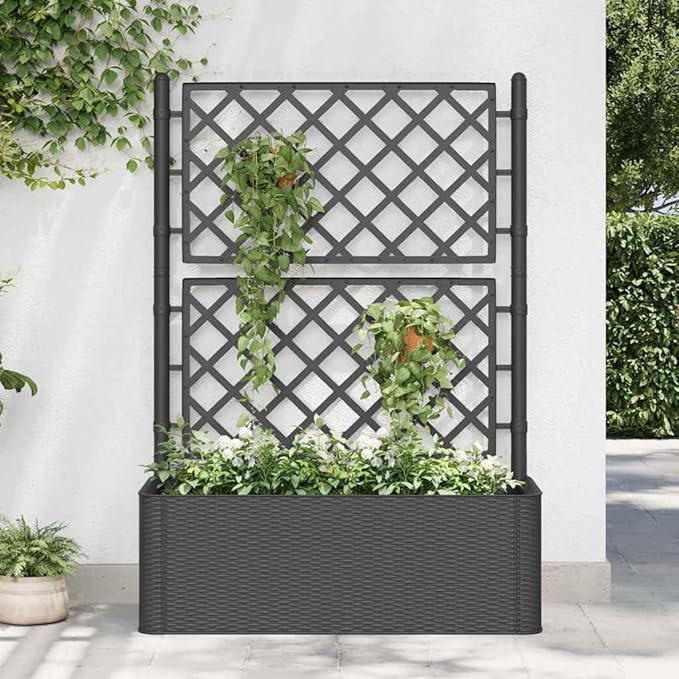 Raised Bed Anthracite Plastic (PP) Trellis Planter Self-Watering 39.4 x 16.9 x 55.9 in for Outdoor Plants Gardening