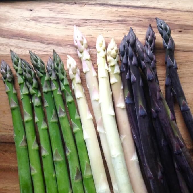 20 Mix Asparagus Roots - Bare Root Asparagus Crowns for Planting Perennial Vegetable Plants for Outdoor Garden