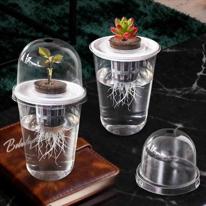 Hydroponics Growing System 5-Set Plant Germination Kit 2026 New – Hydroponics Supplies Planting Container Kit for Beet Canola PP Durable Material No Soil Needed Easy Installation