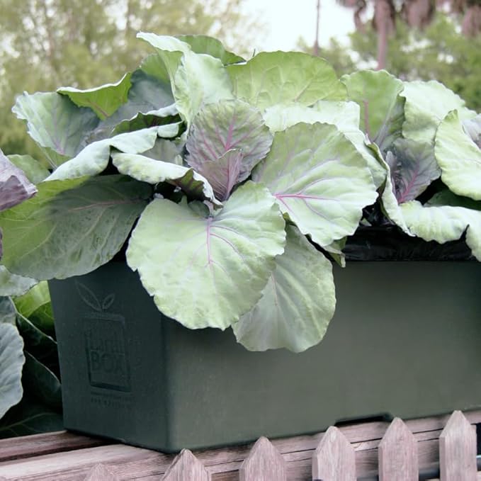 EarthBox Raised Garden Bed with Legs – Elevated Self Watering Planter Box with Wheels Storage Shelf Premium Plant Food Easy Assembly Made in USA Dark Green