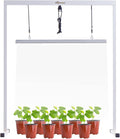 50Watt 2 Feet LED Grow Light Lamp Stand Rack with White Light Full Spectrum CRI90+ for SeedlingSeed Starting Plant GrowingIron Pipe FrameAluminum Heat SinkCCT6500KLamp Height Adjustable