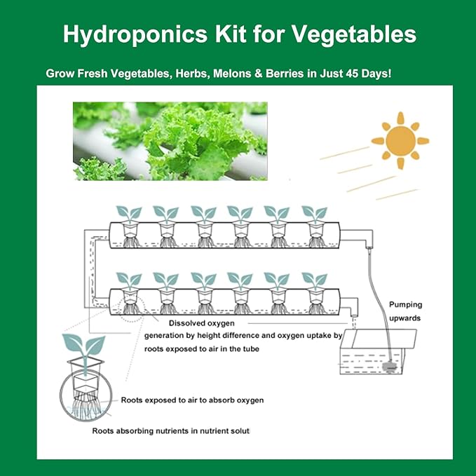 Hydroponics Growing System 54 Plant Sites 3 Layer 2 Rows Food-Grade PVC-U Pipes Hydroponic Grow Kit for Leafy Vegetables with 110V Water Pump