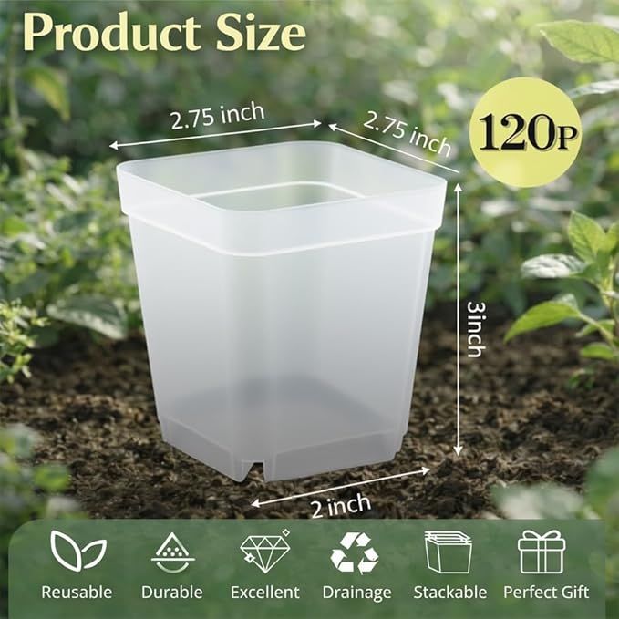 120 Packs Square Clear Nursery Pots with Drainage 2.7 Inch Plastic Seedling Pots for Indoor Plants Thickened Small Transplant Pot for Seed Starting Succulents Vegetables Lettuce Flowers