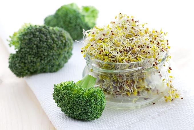 Todd’s Seeds - Calabrese Broccoli Sprouting Seeds 1 lb - High in Sulforaphane Non-GMO Heirloom Variety - Bulk Seeds for Nutrient-Rich Sprouts &amp Home Gardening (Chemical Free - Better than Organ
