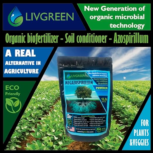 Megazospirillum Azospirillum Super Blend Organic Bio Fertilizer Boost plant growth and root mass perfect for new plantings transplants and propagation.