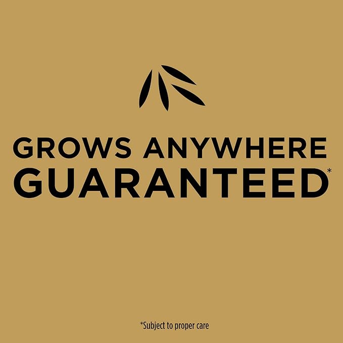 Scotts EZ Seed Patch &amp Repair for Sun and Shade Combination Mulch Sun and Shade Grass Seed and Fertilizer for Bare Spots and Repair Grows Anywhere 20 lbs.
