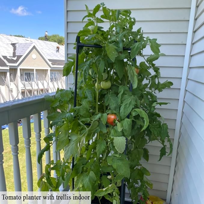 Tomato Cage with Trellis 62 H Wheeled Tomato Planter Box Outdoor for Climbing Plants Flowers Potato Vine Vegetables Portable Self Watering Raised Garden Bed for Patio Greenhouse