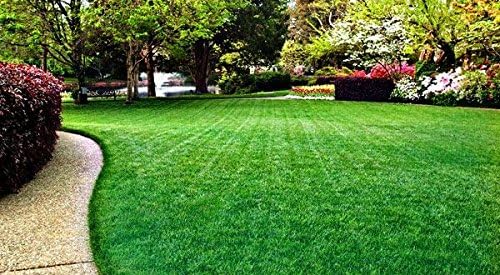 Liquid Fertilizer 16-8-4 - (4 Gallon Case)
