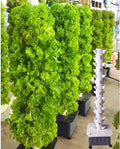 Hydroponic Tower Growing Kits 45 Holes Aquaponics Grow 15 Floors Garden Tower Aeroponics Growing Kit for Aquaponics Growing FA