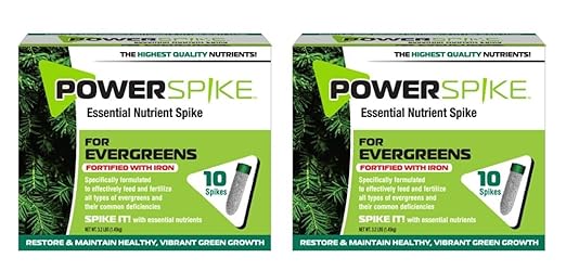 Power Spike for EVERGREENS Fertilizer Spike. Essential Nutrient Spike Fortified with Iron to Feed All Types of evergreens and Address Common Deficiencies (20 Spikes - 6.4 lbs) (20)