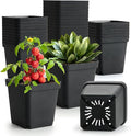 BTPLASTIK Square Nursery Pots 5.5 Inch 50Pcs Plastic Sturdy Reusable Seedling Pots with Drainage Holes Garden Flower Planters for Indoor/Outdoor Transplanting Succulents Cuttings Black