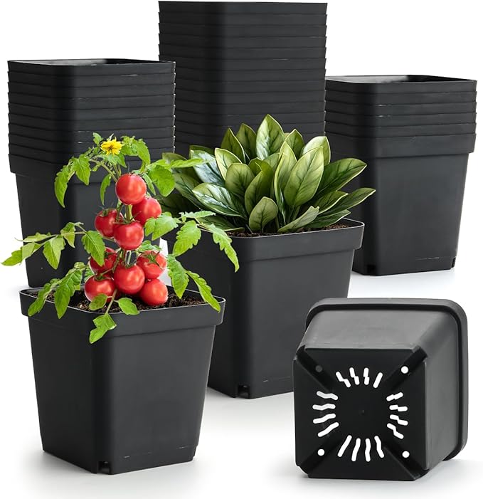 BTPLASTIK Square Nursery Pots 5.5 Inch 50Pcs Plastic Sturdy Reusable Seedling Pots with Drainage Holes Garden Flower Planters for Indoor/Outdoor Transplanting Succulents Cuttings Black
