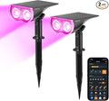 Linkind Smart Solar Lights Outdoor