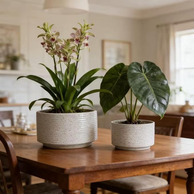 Handmade Ceramic Planter Set of 2 11 8 Diameter White with Vertical Ridges for Aquatic Plants IndoorOutdoor Shelf Table Use Breathable Non Porous Clay