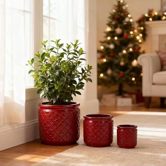 Handmade Ceramic Planter Set of 3 15129 Inch Diameter Diamond Pattern for Orchids Indoor Plants Windowsill Bookshelf Use Breathable Clay