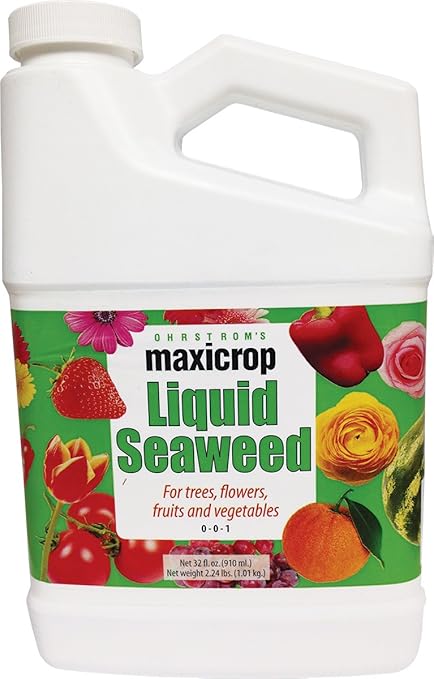Maxicrop Liquid Seaweed 1 qt