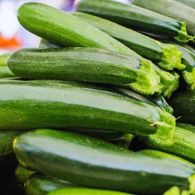 2 Zucchini Plants Live Seedlings 4 Inches Pot Live Squash Plants from 3 to 6 Inches Tall