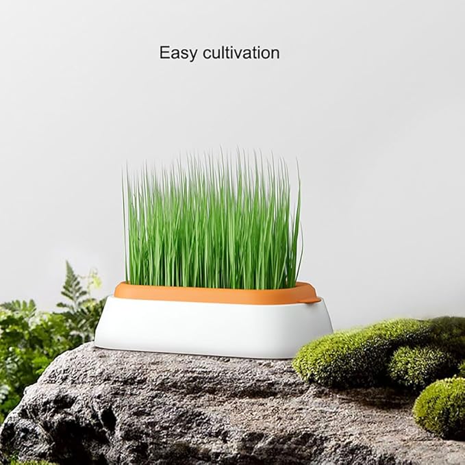 3pcs Indoor Hydroponic Growing Kit and Germination Trays for Catsk Plant Germination Trays