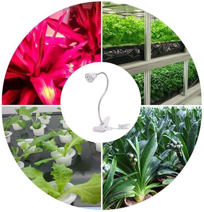Wall Lights Led Grow Light with Clip Flexible Lamp Head Clip Led Plant Growth Light for Indoor or Desktop Plants Plug