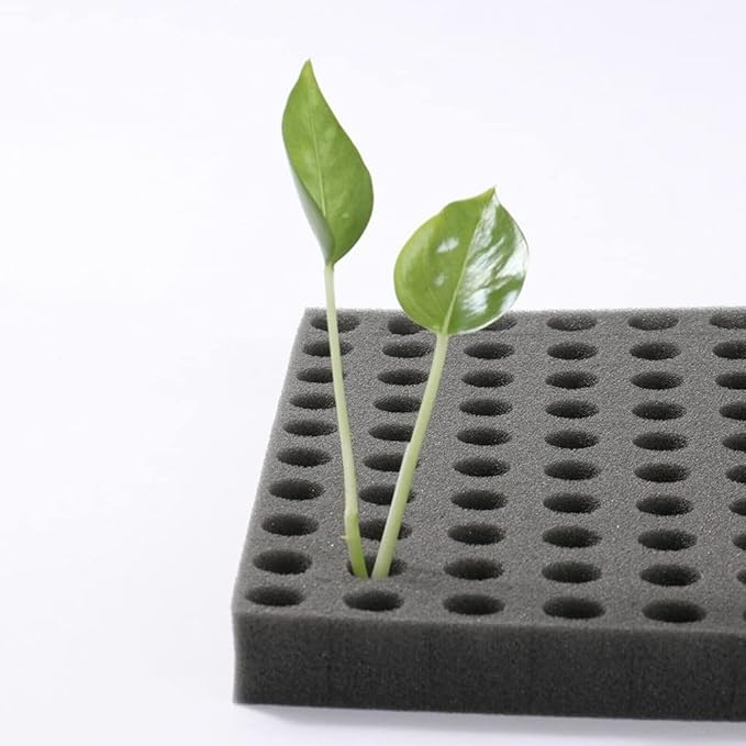 Dirt Resistant Seedling Sponge Soilless Cube Seedling Hydroponics Square Growth Sponge Foam for Greenhouse Cultivation Sponge Soilless Cube