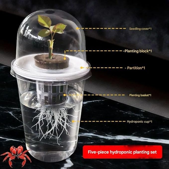 Hydroponics Growing System 5-Set Plant Germination Kit 2026 New – Hydroponics Supplies Planting Container Kit for Beet Canola PP Durable Material No Soil Needed Easy Installation
