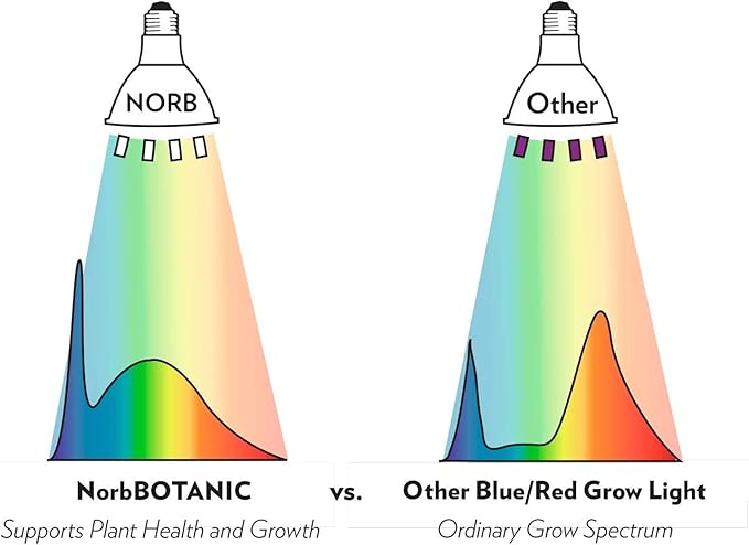 NorbBOTANIC Premium LED Grow Light Full Spectrum PAR38 Bulb 1350 Lumens Energy-Efficient Sun-Spectrum Mimics Sunlight White Light Perfect for Indoor Plants Herbs Tropical Plants 16W 30 Degree