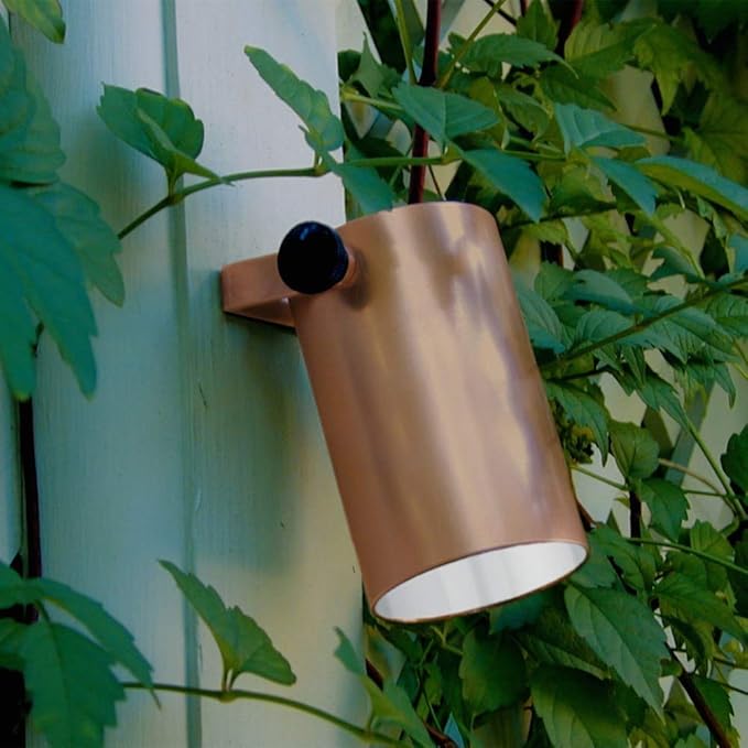 CNL1CB Low Voltage Classic Outdoor Landscape Niche Light