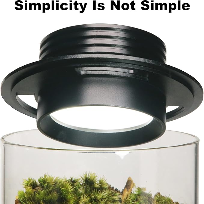 Desktop Glass Plant Terrarium with Grow Light (H:7.8 D:4) for Succulent Moss Miniature Gardening Landscape Betta Fish Tank Office Home Decoration Plant Lovers Gifts