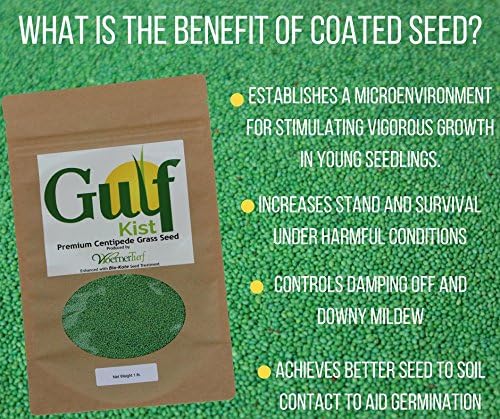 Centipede Grass Seed for a Dense Green Lawn NO Mulch 1 lb Coated Seeds Sun and Moderate Shade Tolerant Lawn Seeding and Turf Patch Repair Southern Southeast US Low Fertilizer Low Maintenance