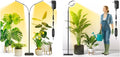 Plant Grow Light for Indoor Full Spectrum Dual Heads Grow Light 66.5in Extendable Stand144 LEDs10-Level Dimmable Auto Timer Adjustable Gooseneck Floor Lamp for Tall Large Plants
