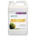 Silica Blast gal