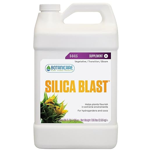 Silica Blast gal