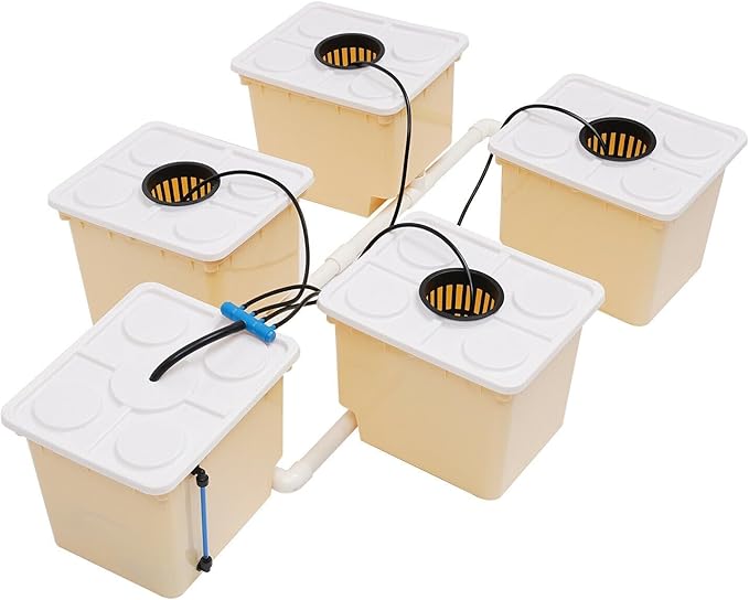 Deep Water Culture Hydroponic System Grow Kit W/Submerged Pump 11L 5 Box