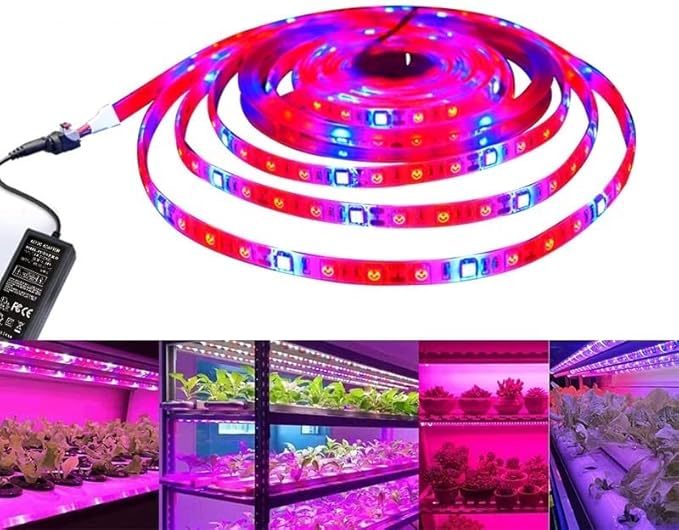 Fengyan Landscape Lights 5m 5050SMD DC12V 60leds/m LED Strip Light Indoor Plant Grow Light 3 Red 1 Blue 4 Red 1 Blue 5 Red 1 Blue LED Street Lamp (Color : 5 red and 1 Blue Size : IP20)