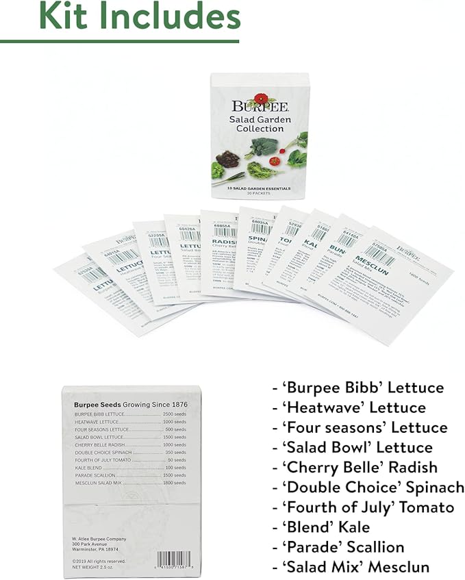 Burpee Salad Garden Collection 10 Packets of Non-GMO 4 Lettuce Varieties Tomato Radish Spinach Kale Scallions &amp Mesclun Mix | Seeds for Planting Vegetables