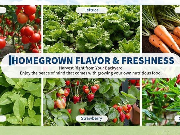 Galvanized Raised Garden Beds 2 Pack 6x1.5x1 ft Outdoor Metal Planter Boxes for Vegetables Flowers and Herbs