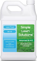 Advanced 16-4-8 Lawn Fertilizer - Liquid Lawn Food Spring &amp Summer Concentrated Spray - Any Grass Type- Fish and Seaweed Kelp- Balanced NPK - Simple Lawn Solutions (1 Gallon)