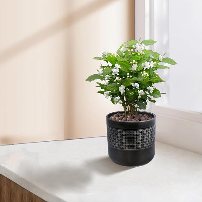Handmade Black Glazed Ceramic Planter Set of 3 9 7 6 Diameter Grid Pattern for Succulents Cacti IndoorOutdoor Shelf Table Use Porous Clay with Drainage Holes