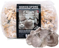 North Spore Organic Italian Oyster (500 ct) Mushroom Plugs for Logs | Premium Quality Mushroom Plug Spawn | Handmade in Maine USA | Grow Gourmet Mushrooms Outdoors on Logs