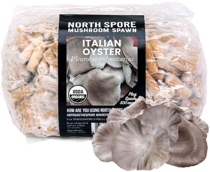 North Spore Organic Italian Oyster (500 ct) Mushroom Plugs for Logs | Premium Quality Mushroom Plug Spawn | Handmade in Maine USA | Grow Gourmet Mushrooms Outdoors on Logs