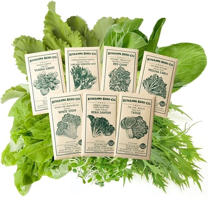 Asian Salad Garden Seed Assortment – 7 Varieties of Asian Greens – Chinese Cabbage Mizuna Mustard Tatsoi Daikon Sprouts – Non-GMO Heirloom – Stir-Fry &amp Salad Mix