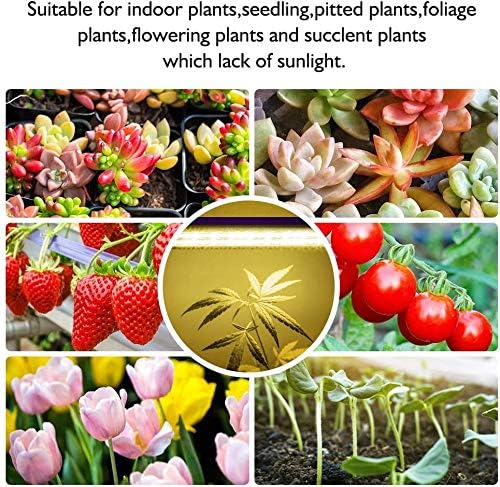 LED Grow Lights Strips for Indoor Plants with Auto ON &amp Off Timer T5 Sunlike Full Spectrum Grow Lights Bar Growing Lamps for Greenhouse Shelves Hydroponics Succulent 4 Dimmable Levels