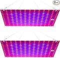 2Pcs 250W Indoor Vegetable Planting Lamps 110V Indoor Natural Red/Blue Spectrum Plant Panel Lamping 100-277V Succulent Hydroponic Growth Lights UV/IR Indoor Cultivation Seedling Red and Blue Lighting